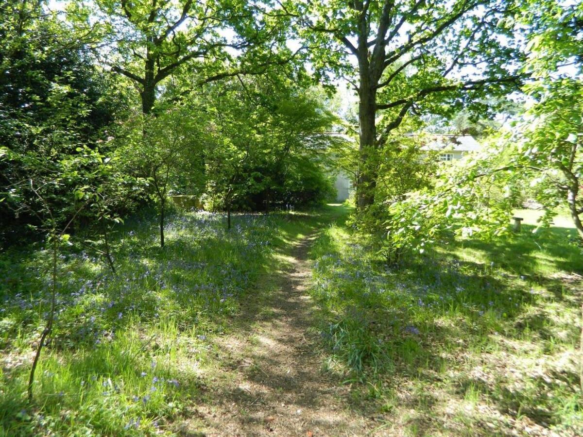 River Cottage A Country Retreat In Wooded Gardens East Stoke  Exterior photo