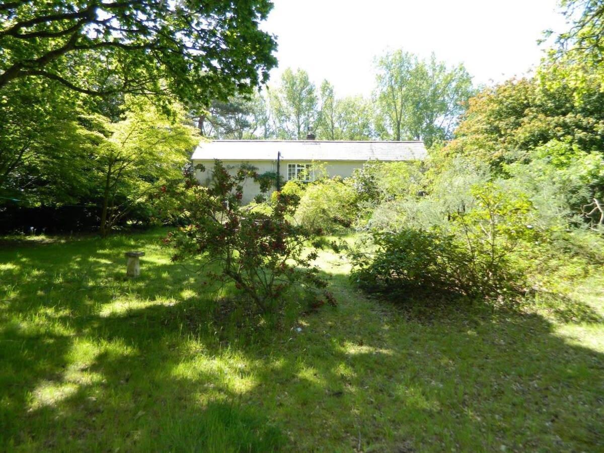 River Cottage A Country Retreat In Wooded Gardens East Stoke  Exterior photo