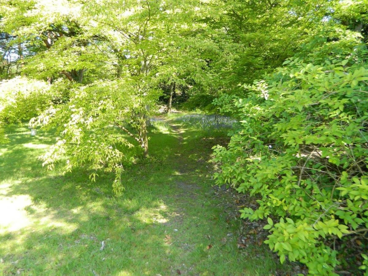 River Cottage A Country Retreat In Wooded Gardens East Stoke  Exterior photo