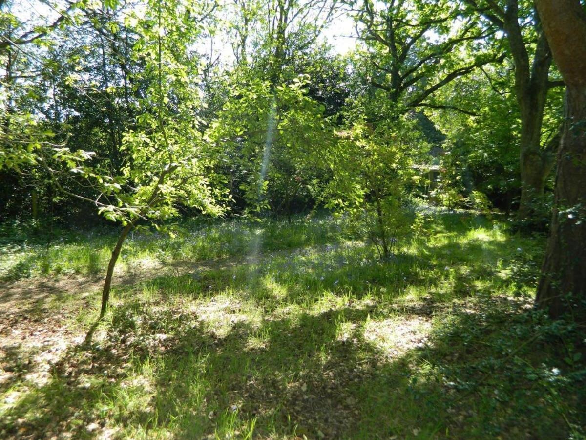 River Cottage A Country Retreat In Wooded Gardens East Stoke  Exterior photo